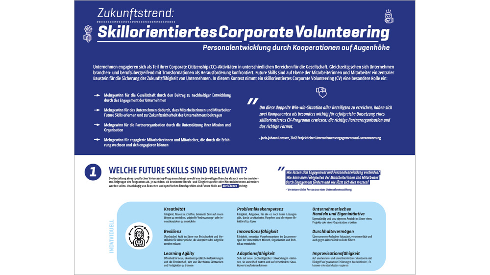 Skillorientiertes Corporate Volunteering (Poster)